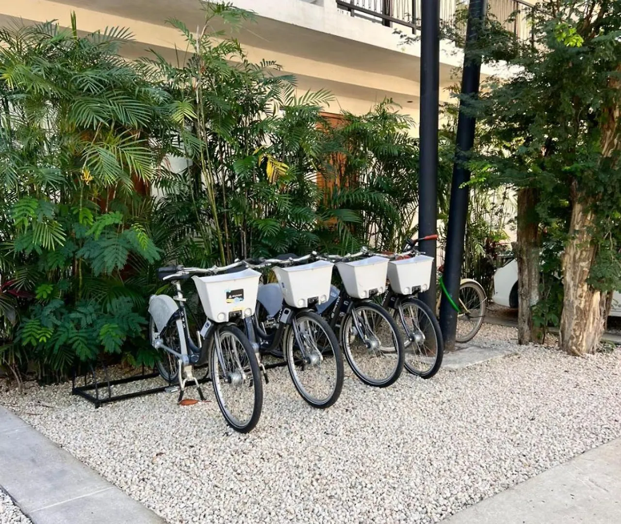 Apartment 2 Bedroom With Direct Walk-Out To Pool, Sauna, And Gym Tulum